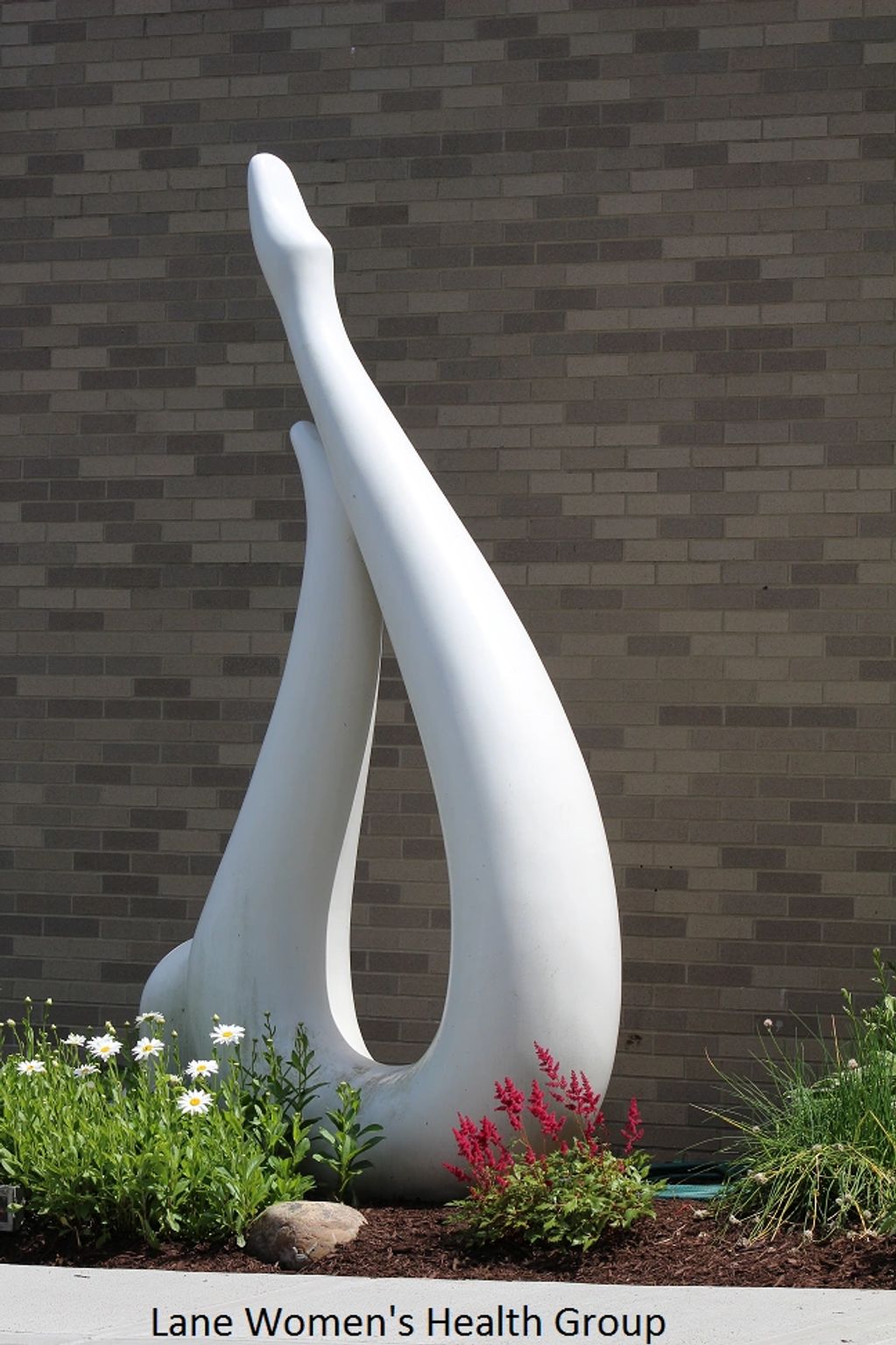 Lane Women's Health Group Lane Women's Health Group